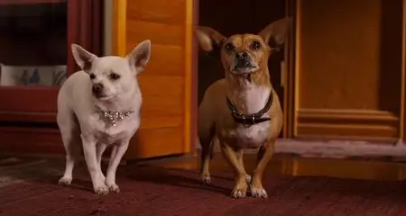 Beverly Hills Chihuahua 2 (2011)