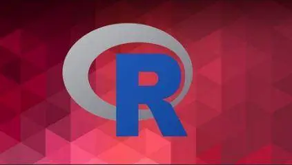 Learn R By Intensive Practice