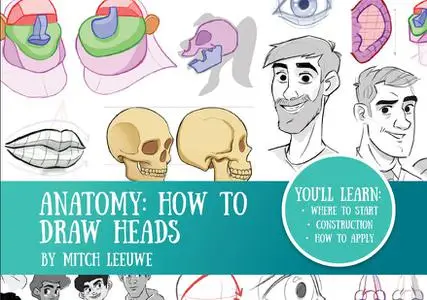 Anatomy how to draw the Heads by Mitch Leeuwe by Mitch Leeuwe