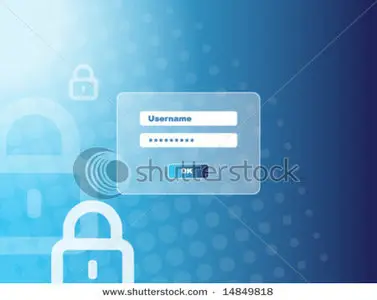 Vector Password security window