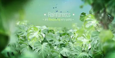 The Rainforests Titles - Project for After Effects (VideoHive)