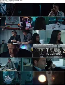Felony (2013)