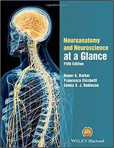 Neuroanatomy and Neuroscience at a Glance, 5th Edition