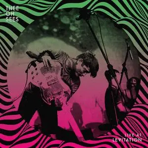 Thee Oh Sees - Live at Levitation 2012 (2023) [Official Digital Download 24/88]