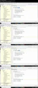 The Complete Python Programmer: From Scratch to Applications