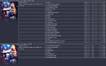 Depeche Mode - Touring The Angel: Live In Milan (DVD-Video Audio Demux + Bonus CD) (2006)
