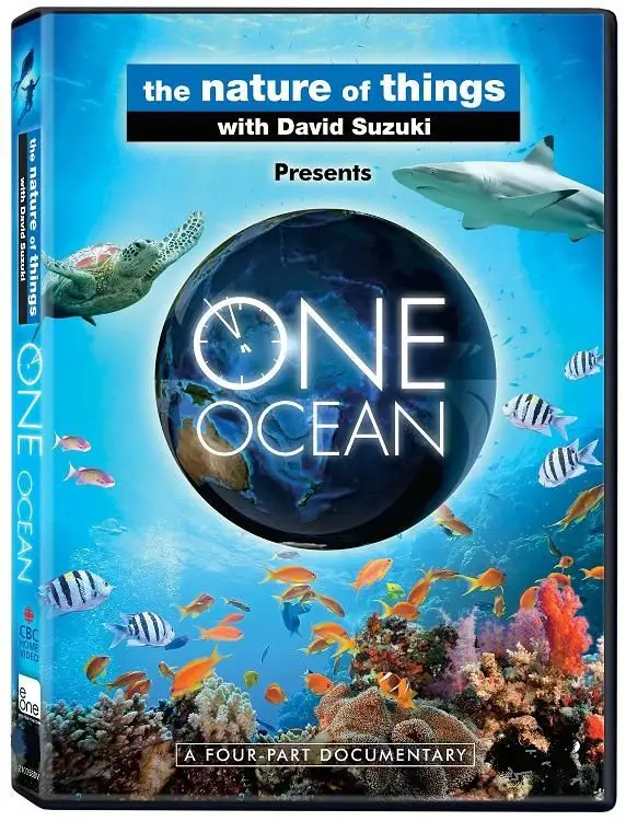 First ocean. Океаны (DVD). Ocean one. Океан 1:1. One Ocean программа.