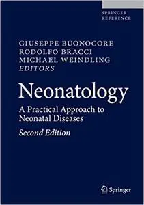 Neonatology: A Practical Approach to Neonatal Diseases (Repost)