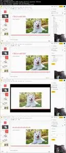 Google Slides From Beginner To Pro