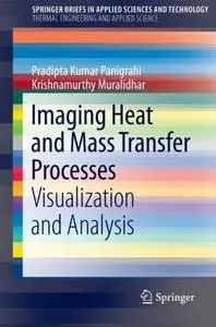 Imaging Heat and Mass Transfer Processes: Visualization and Analysis