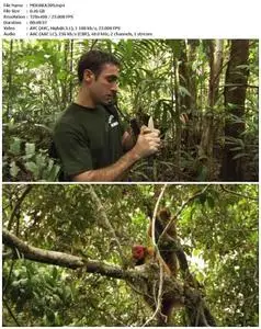 Uakari: Secrets of the English Monkey (2009)