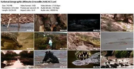 National Geographic - Ultimate Crocodile (2007)