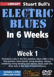 Lick Library - Stuart Bull's Electric Blues In 6 Weeks Week 1