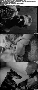 Fear And Desire (1953)