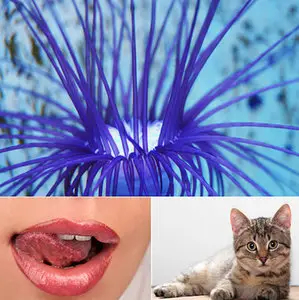 Featured Desktop HD Wallpapers 35