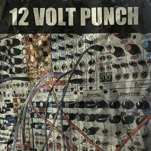 Goldbaby 12 Volt Punch Modular Drums and FX MULTiFORMAT