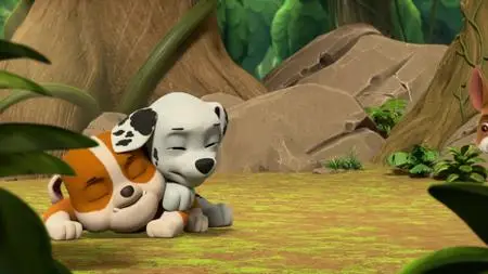 Paw Patrol S06E01