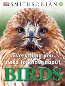 Everything You Need to Know About Birds