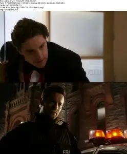 Nikita S01E13