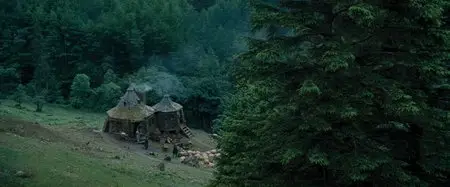 Harry Potter and the Prisoner of Azkaban (2004)