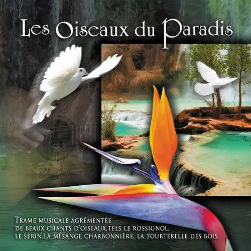 VA - Les Oiseaux du paradis (2017)