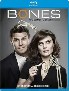 Bones S01-S12 (2005-2017) [Complete Series]