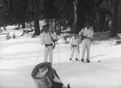 Ski Troop Attack (1960)