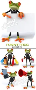 Funny frog