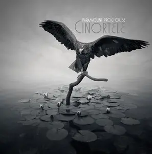 Cinortele - Paramount Proghouse
