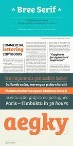 Bree Serif Font Family