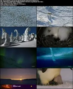 David Attenborough Frozen Planet S01E05