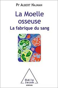 La Moelle osseuse: La fabrique du sang