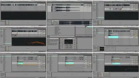 Bassgorilla - Electronic Music Composition With Haywyre & Xenflex [Repost]