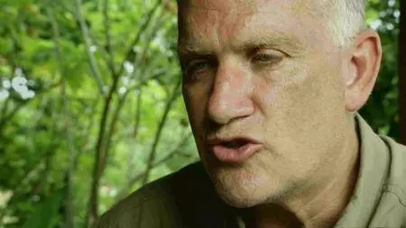 BBC Natural World - Tiger Island (2012)