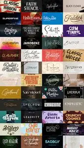 48 Awesome Fonts Bundle 25