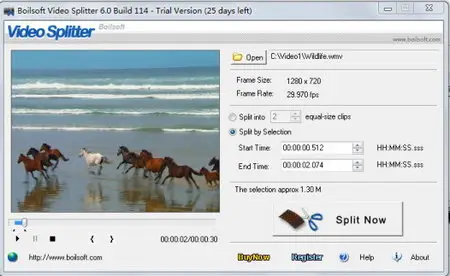 Boilsoft Video Splitter 6.06 build 137 Portable
