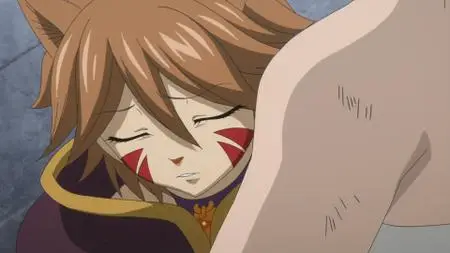 Fairy Tail 011-020 (2014)