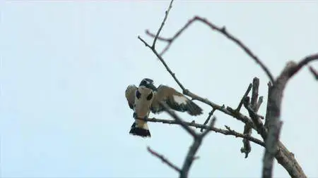 Mysteries Of The Mekong - Laos: The Mountain Wilds (2017)