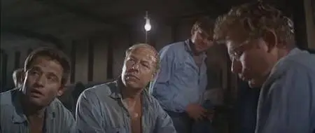 Cool Hand Luke (1967)