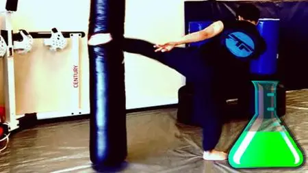 Ultimate Taekwondo Kicking Martial Arts Self Defense Lab