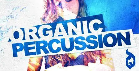 Delectable Records Organic Percussion WAV