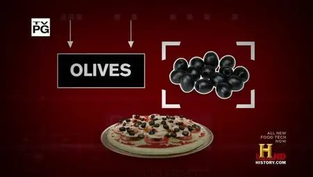 Food Tech Series 1 (2010) 