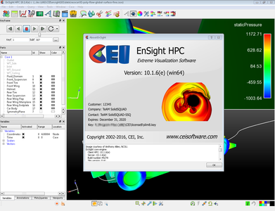 CEI EnSight 10.1.6(e)