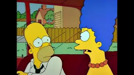 Die Simpsons S02E20