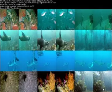 Dive In The Realm Of White Sharks (2012)