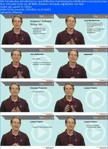 LiveLessons - Java Reflection