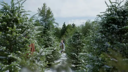 Merry Christmas Ted Cooper (2025)
