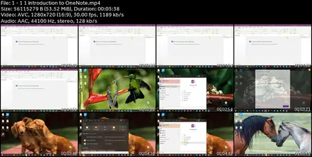 Microsoft OneNote (365,2019,2016,2010) Beginner to Advanced