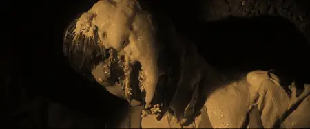 ...E tu vivrai nel terrore! L'aldilà / The Beyond (1981)