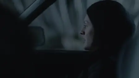 Top of the Lake S01E03